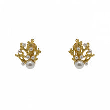 Load image into Gallery viewer, Earrings Pearly Reefs